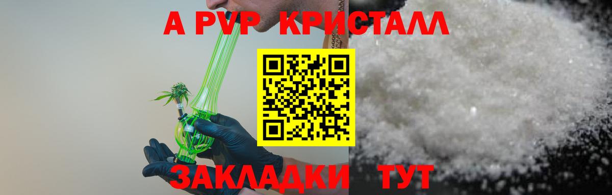 Альфа ПВП СК Гудермес