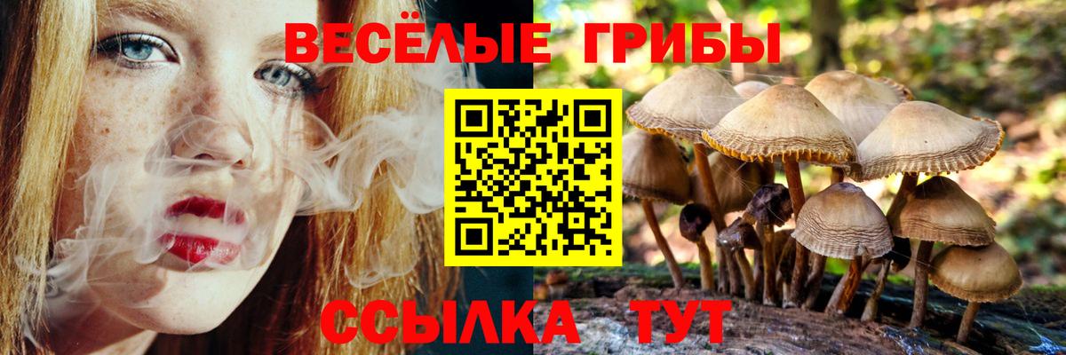 Галлюциногенные грибы мухоморы Гудермес